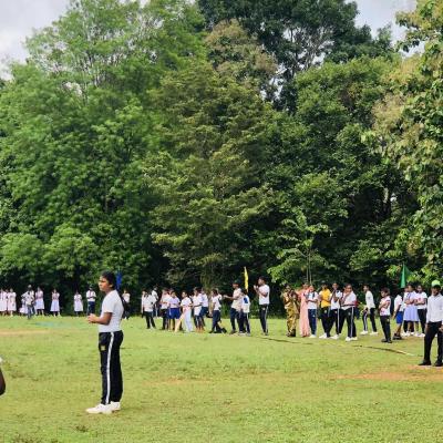 381261056 268168556128066 7656719318085984400 N